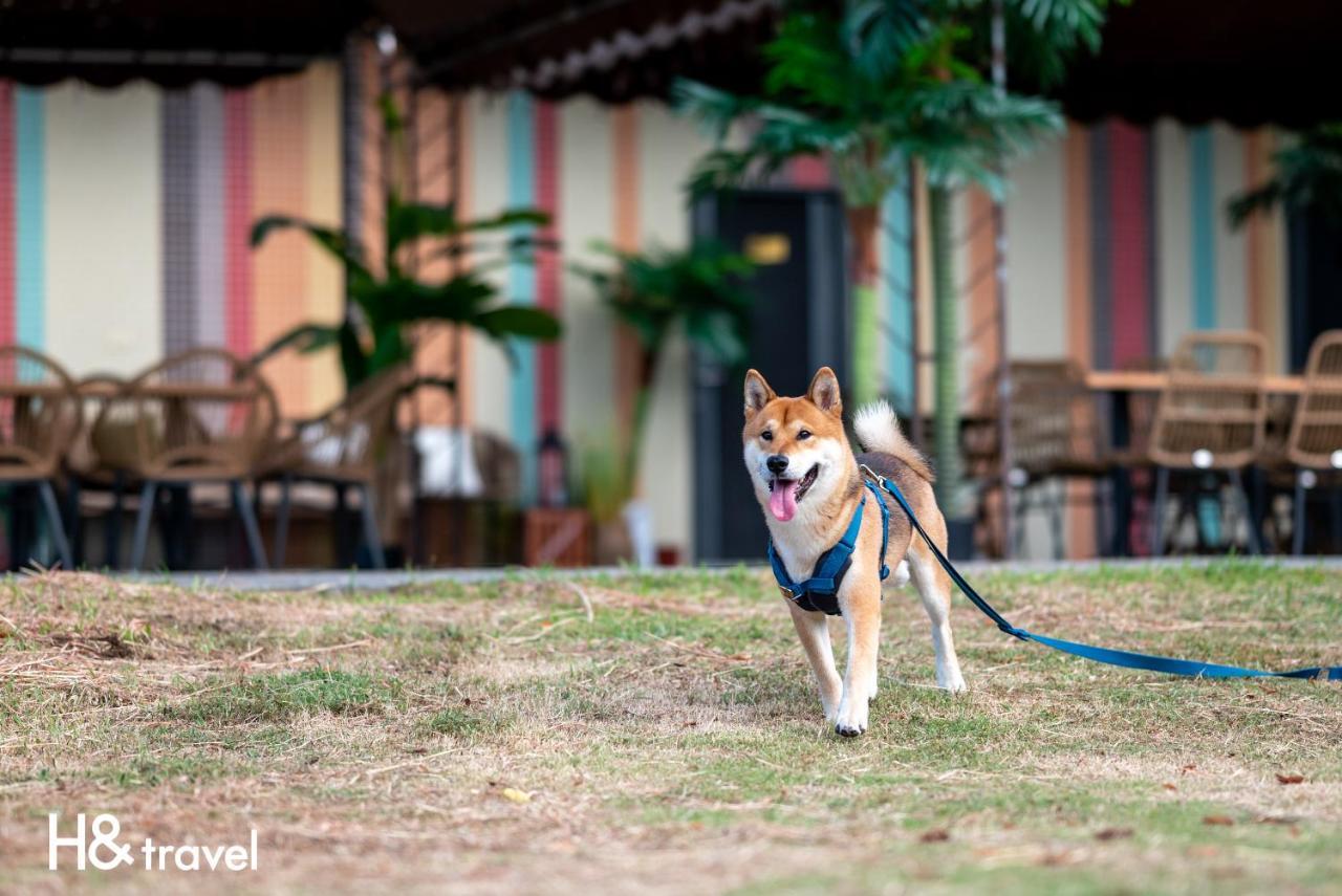 Taitung Rainbow Pet Friendly Maison Resort Dış mekan fotoğraf