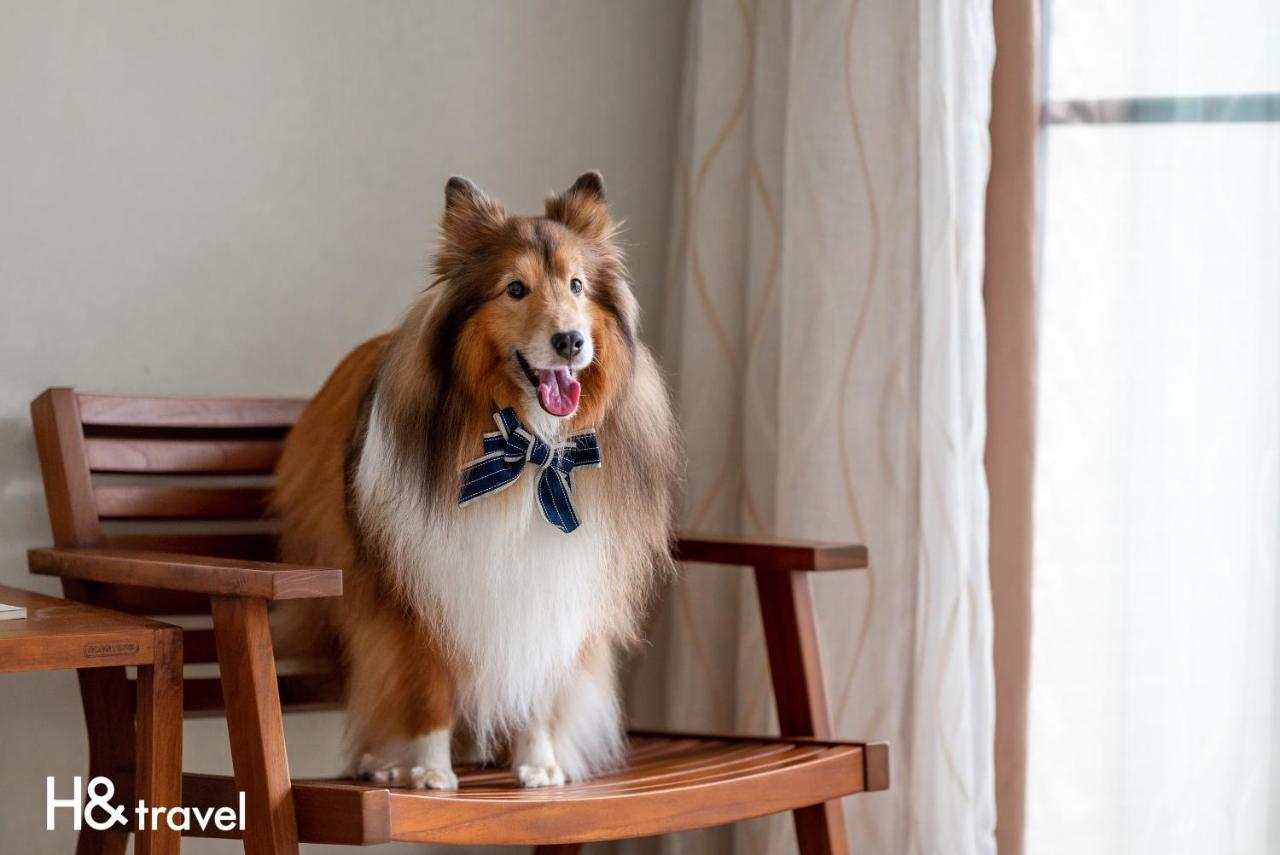 Taitung Rainbow Pet Friendly Maison Resort Dış mekan fotoğraf