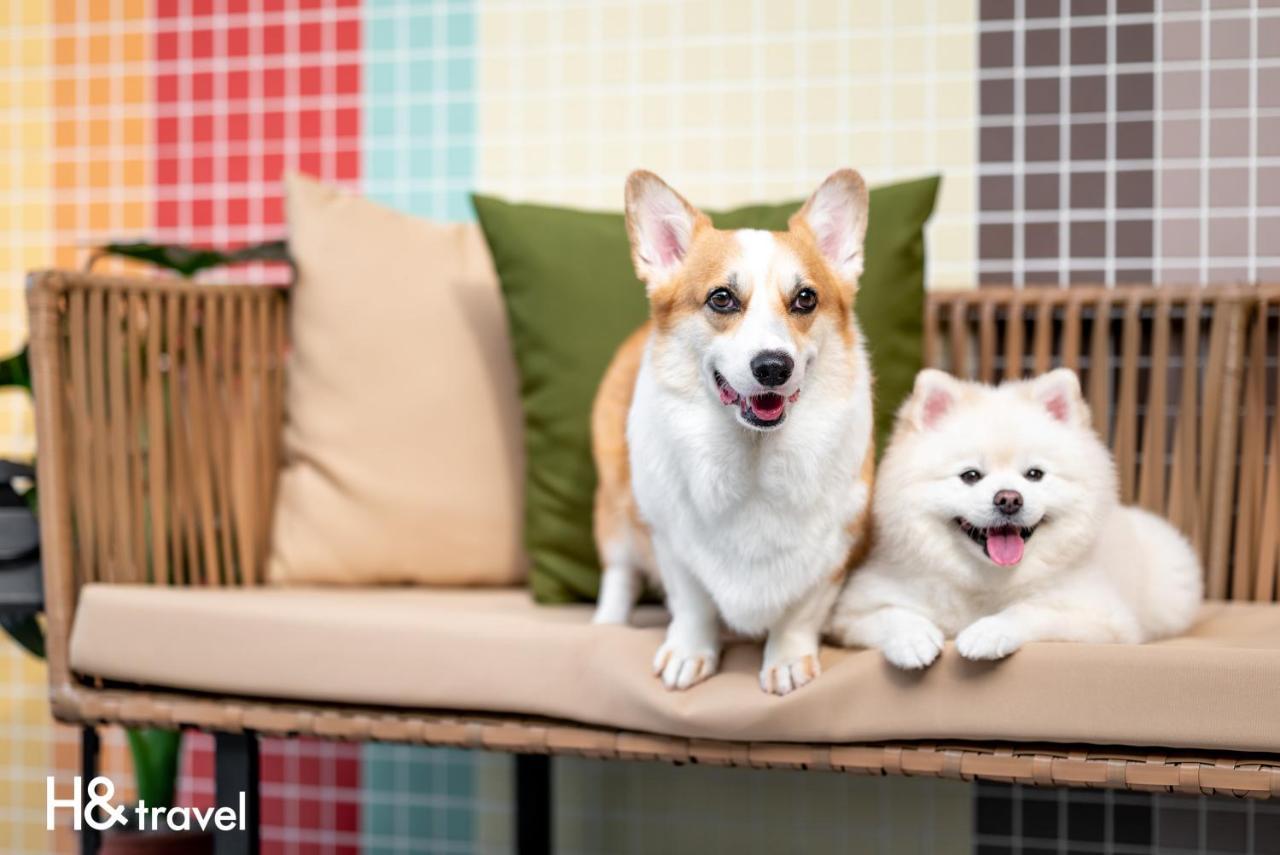 Taitung Rainbow Pet Friendly Maison Resort Dış mekan fotoğraf