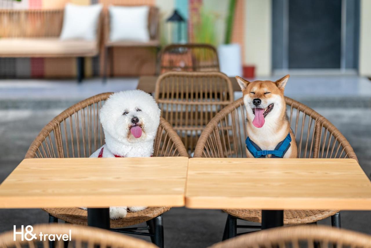 Taitung Rainbow Pet Friendly Maison Resort Dış mekan fotoğraf