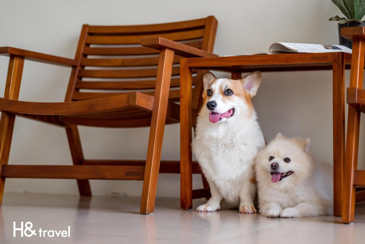 Taitung Rainbow Pet Friendly Maison Resort Dış mekan fotoğraf
