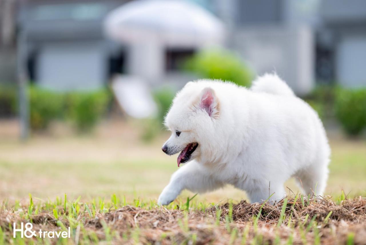 Taitung Rainbow Pet Friendly Maison Resort Dış mekan fotoğraf