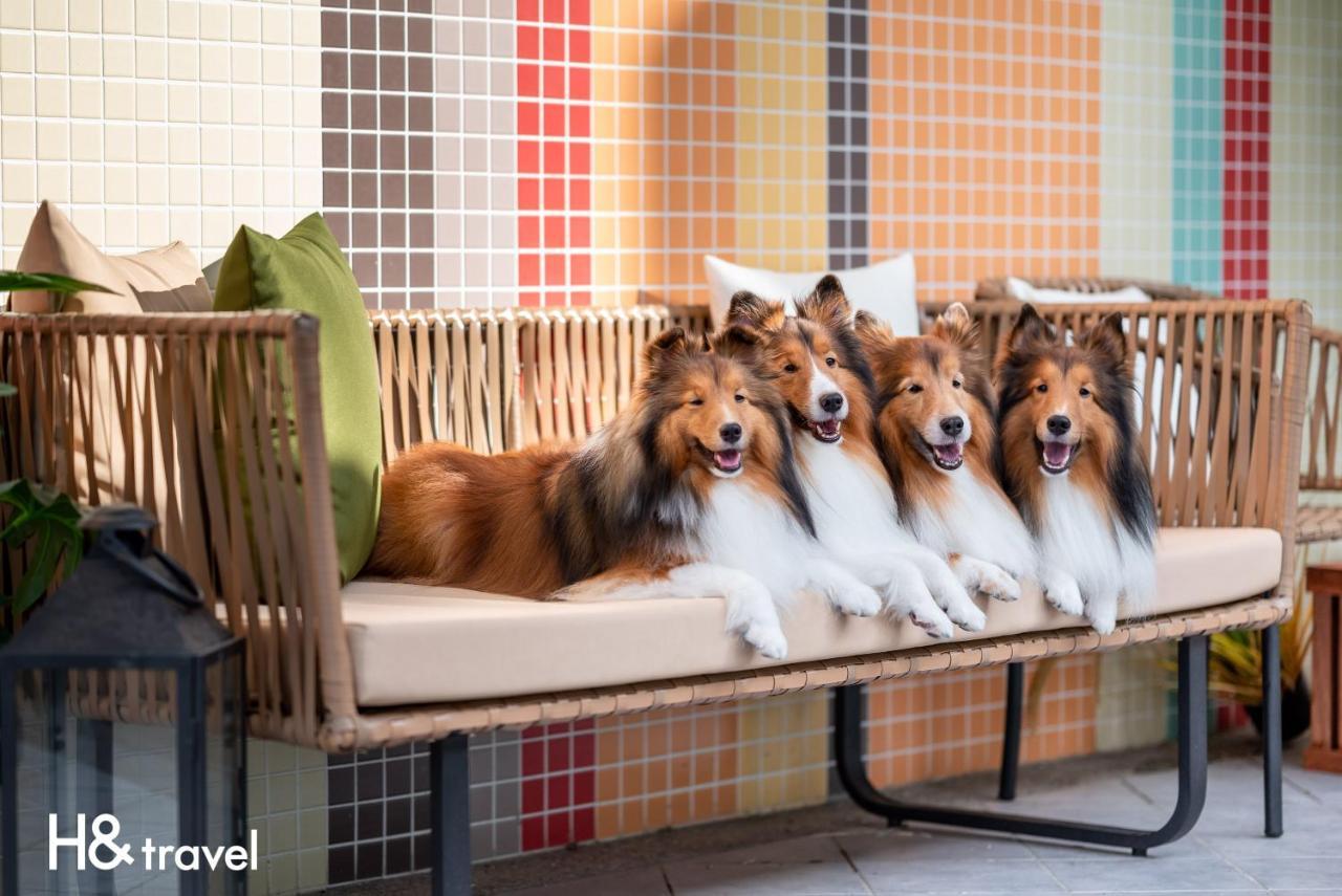 Taitung Rainbow Pet Friendly Maison Resort Dış mekan fotoğraf