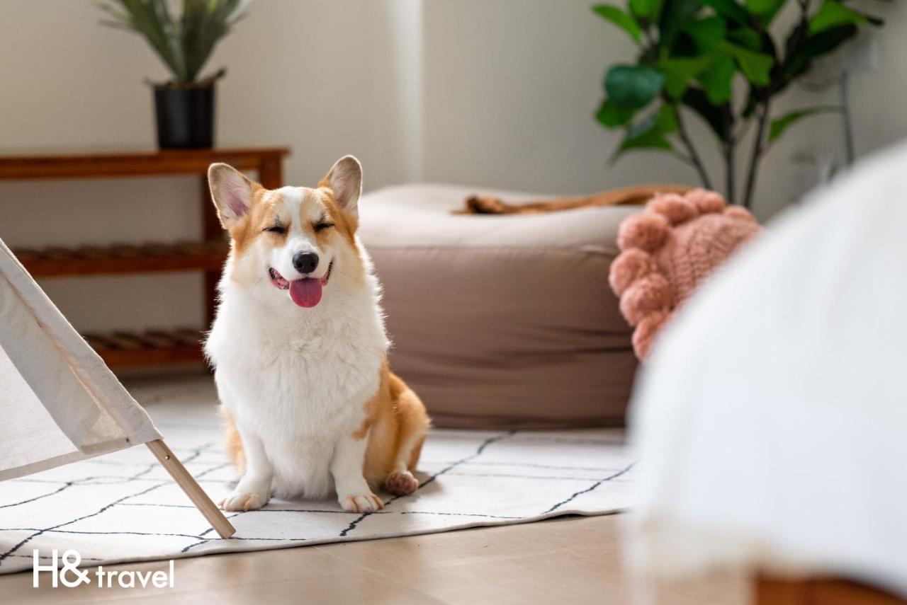 Taitung Rainbow Pet Friendly Maison Resort Dış mekan fotoğraf