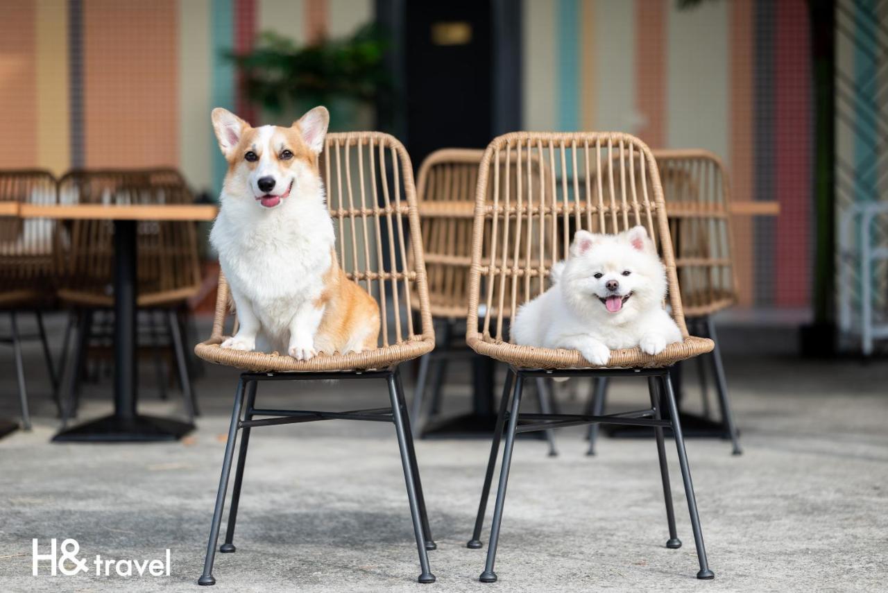 Taitung Rainbow Pet Friendly Maison Resort Dış mekan fotoğraf