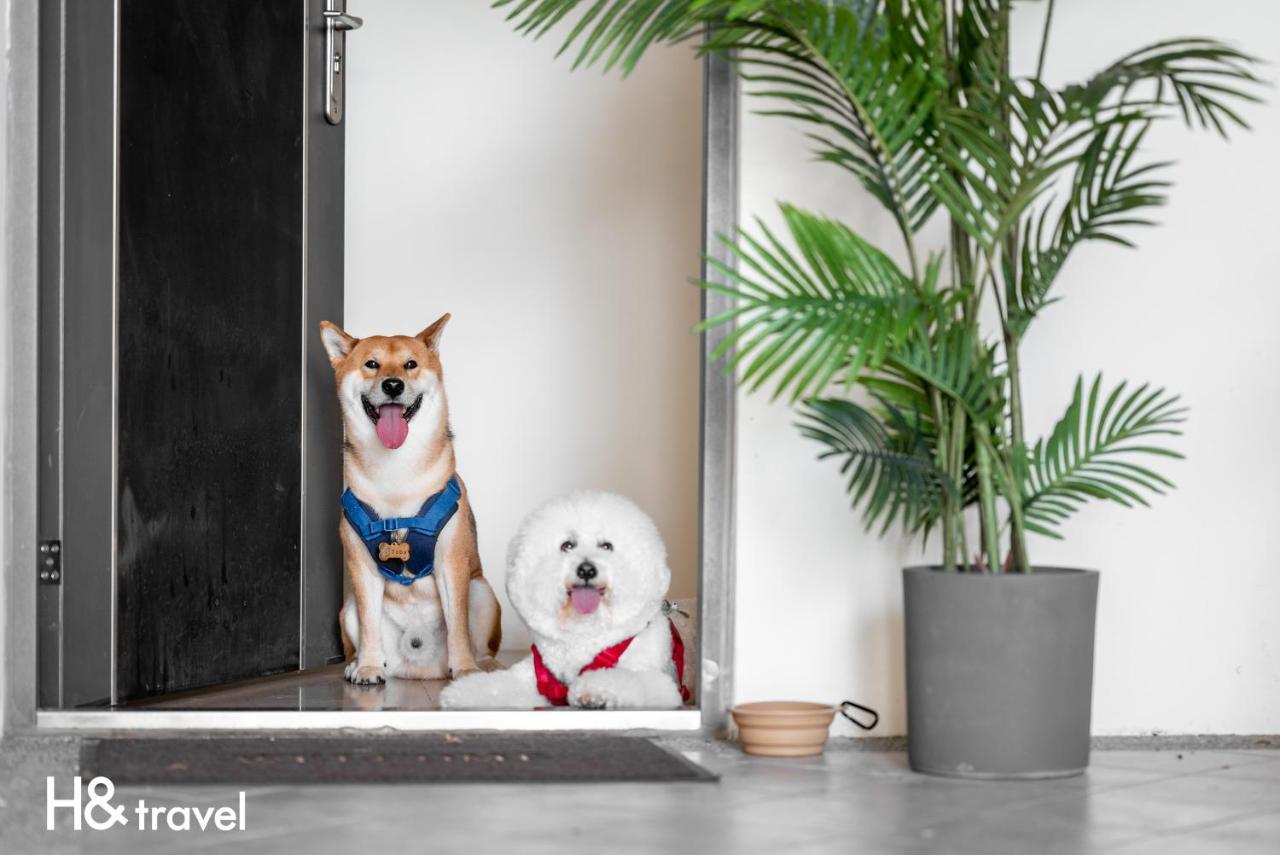 Taitung Rainbow Pet Friendly Maison Resort Dış mekan fotoğraf